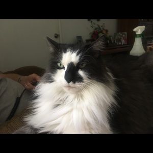 Meet your Posher, Mary